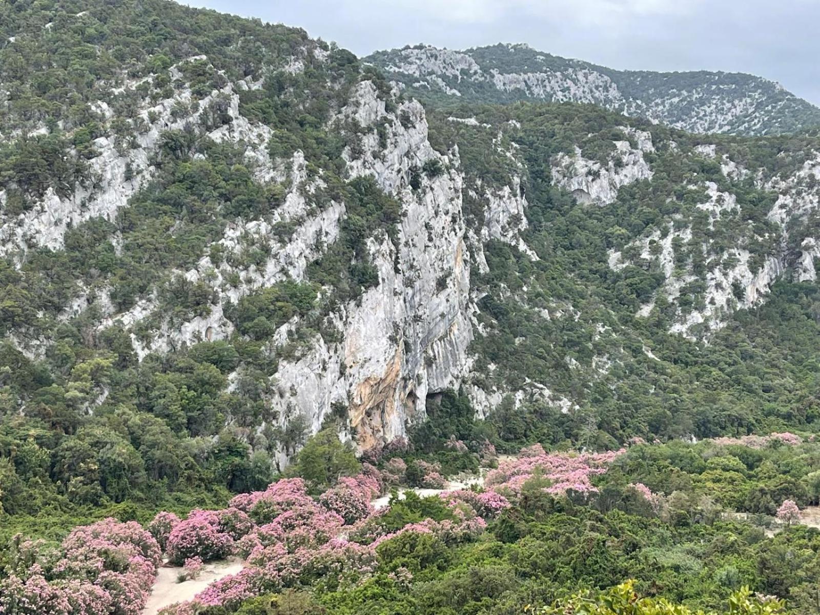 Hotel Sa Troppa De Sos Chentu Dorgali Exteriér fotografie